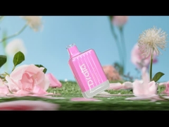 Drala 600 / 800 Puffs یکبار مصرف ویپ قلم میوه ای با طعم E سیگار ویپ